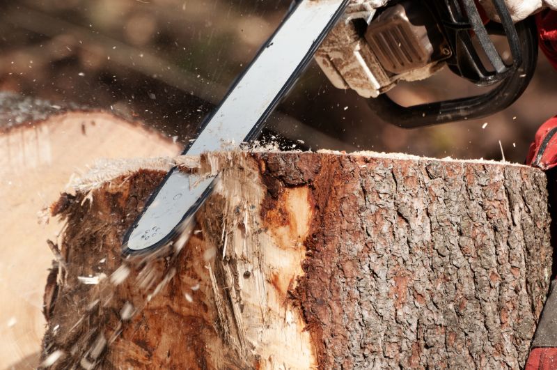 Dead Tree Removal in Doylestown, PA