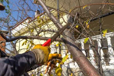 Safety Pruning